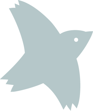 Oiseau Corem Oiseau Corem